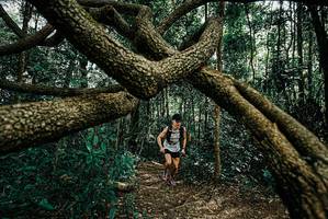 BIB: 
                            <button type="button" onclick="openModal(25664481)" class="btn btn-primary btn-sm float-right btn-popup" data-toggle="modal" data-target=".modal-high-quality">
                        <i class="fas fa-shopping-cart"></i> Add to Cart
                    </button>
                                            <button type="button" onclick="isThisMe(25664481, true)" class="btn btn-success btn-sm float-right btn-popup btn-isme hidden" data-toggle="tooltip" data-placement="bottom" title="นี่คือรูปของคุณใช่ไหม คลิกที่นี่เพื่อเอาเข้าอัลบั้ม">
                        <i class="fas fa-plus"></i> Add to album
                    </button>
                    <button type="button" onclick="isThisMe(25664481, false)" class="btn btn-warning btn-sm float-right btn-popup btn-isnotme hidden">
                        <i class="fas fa-ban"></i> Remove from album
                    </button>